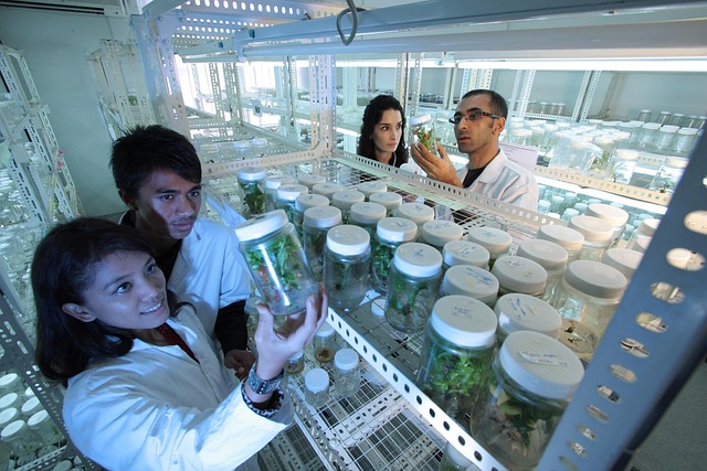 新型N-甲基嗎啉氧化物衍生物的開發與市場需求動向