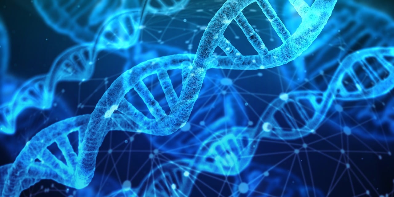 N-甲基嗎啉氧化物在可持續高分子材料領域做出的重要貢獻